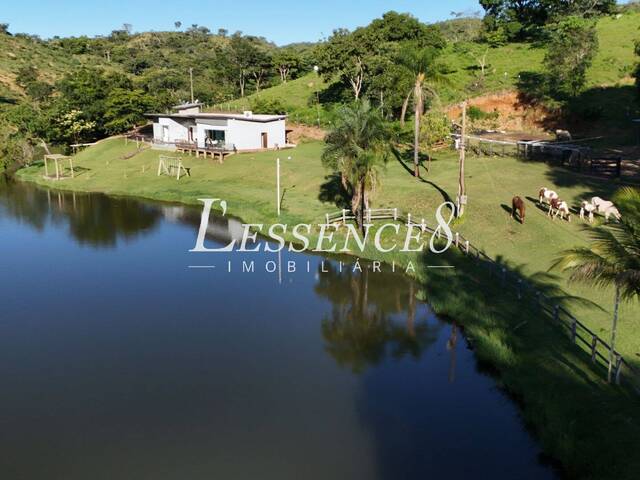 #4 - Sítio para Venda em Goiás - GO - 3