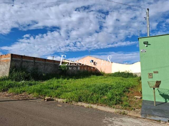 #717 - Terreno para Venda em Aparecida de Goiânia - GO - 3