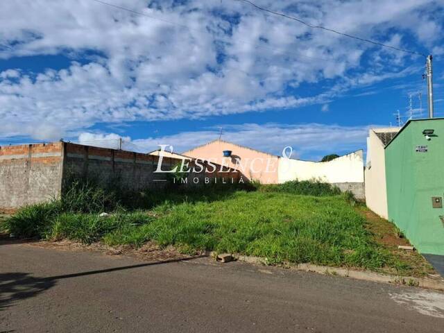 #717 - Terreno para Venda em Aparecida de Goiânia - GO - 1