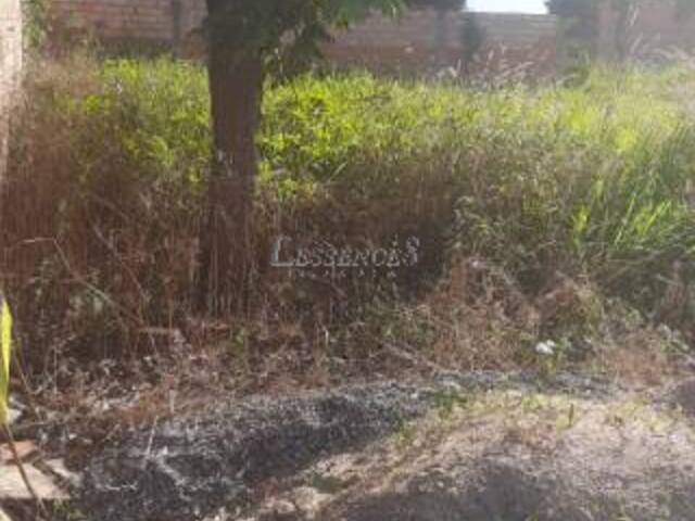 #821 - Área para Venda em Abadia de Goiás - GO - 2