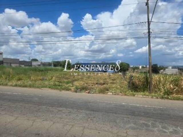 #988 - Terreno para Venda em Goiânia - GO - 3