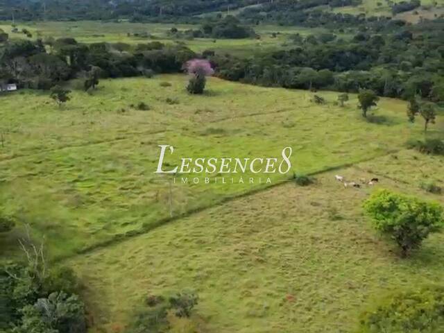 #1053 - Área para Venda em Goiânia - GO - 1