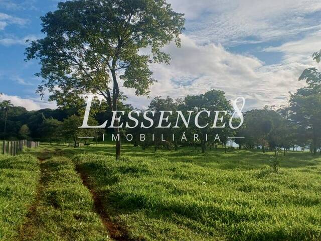 #1156 - Chácara para Venda em Avelinópolis - GO - 2