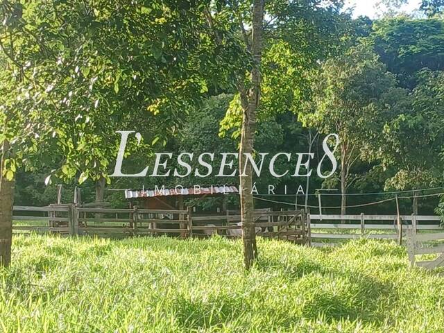 Chácara para Venda em Avelinópolis - 4