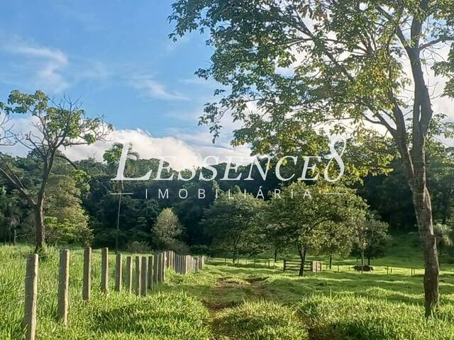 Chácara para Venda em Avelinópolis - 5