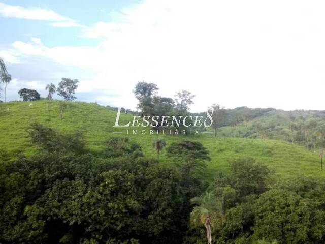 #1267 - Fazenda para Venda em Goiás - GO - 3