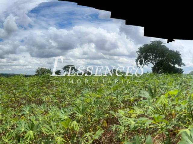 Chácara para Venda em Senador Canedo - 5