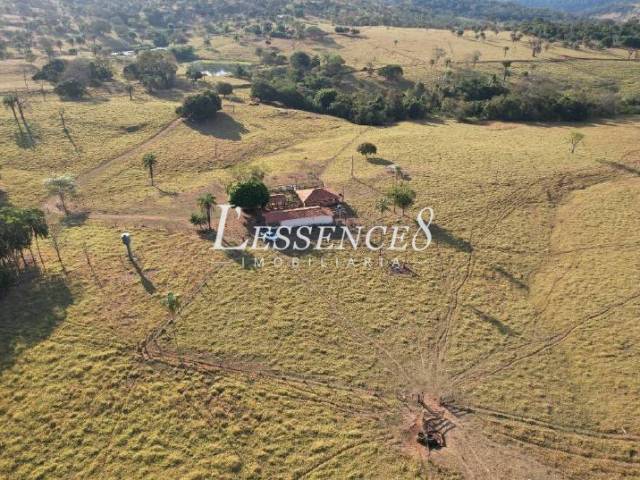 #1296 - Fazenda para Venda em Trindade - GO - 3