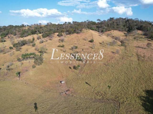 Fazenda para Venda em Trindade - 5