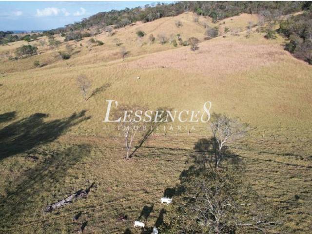 Fazenda para Venda em Trindade - 4