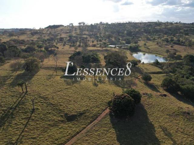 #1296 - Fazenda para Venda em Trindade - GO - 1