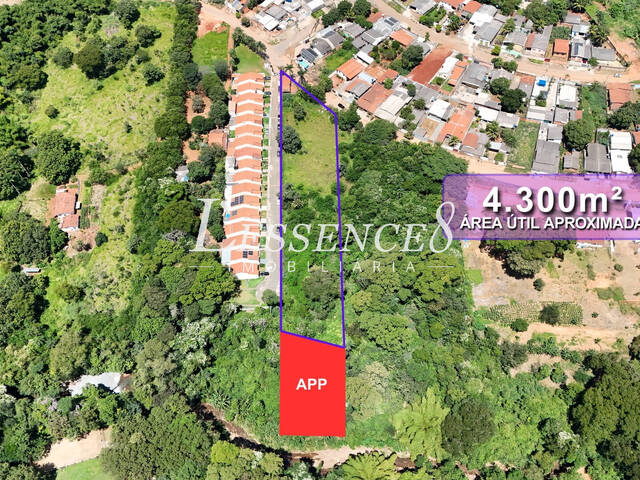 #49 - Área para Venda em Aparecida de Goiânia - GO - 3