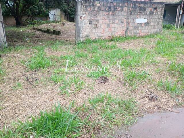 #1605 - Terreno para Venda em Aparecida de Goiânia - GO - 2