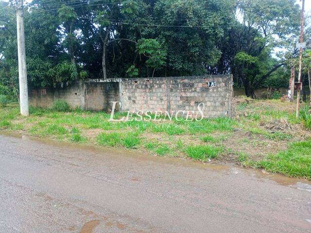 #1605 - Terreno para Venda em Aparecida de Goiânia - GO - 3