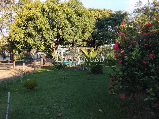 #1609 - Fazenda para Venda em Crixás - GO - 3