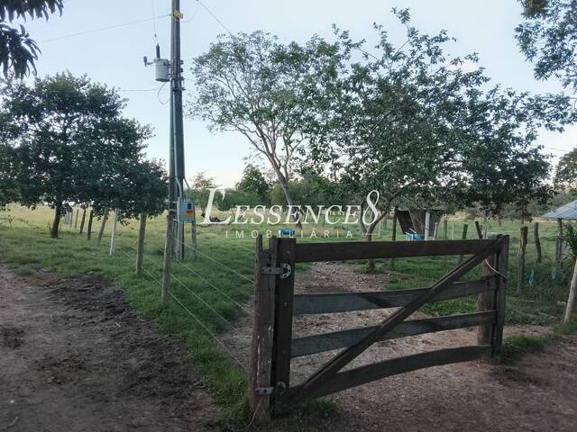 #1609 - Fazenda para Venda em Crixás - GO - 2