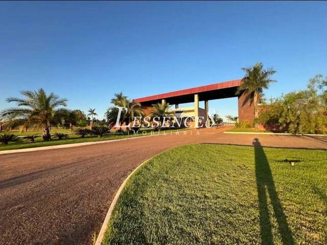 #1616 - Terreno para Venda em Bela Vista de Goiás - GO - 2