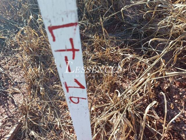 Área para Venda em Goianira - 2