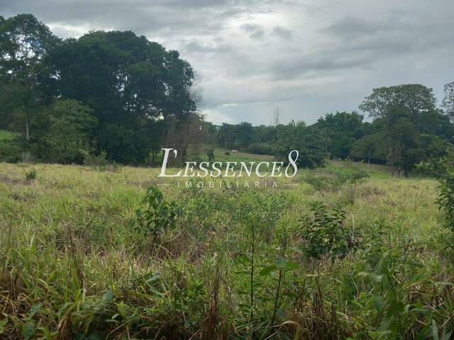 #1663 - Chácara para Venda em Cezarina - GO - 2
