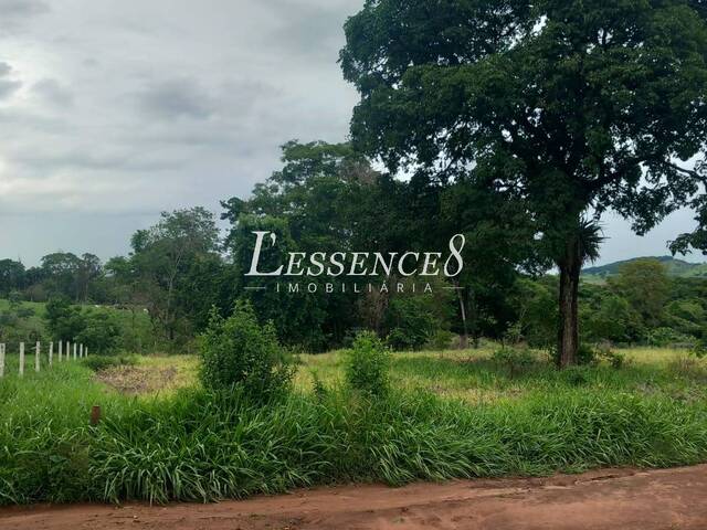Chácara para Venda em Cezarina - 4