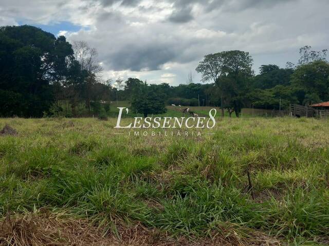 #1663 - Chácara para Venda em Cezarina - GO - 3