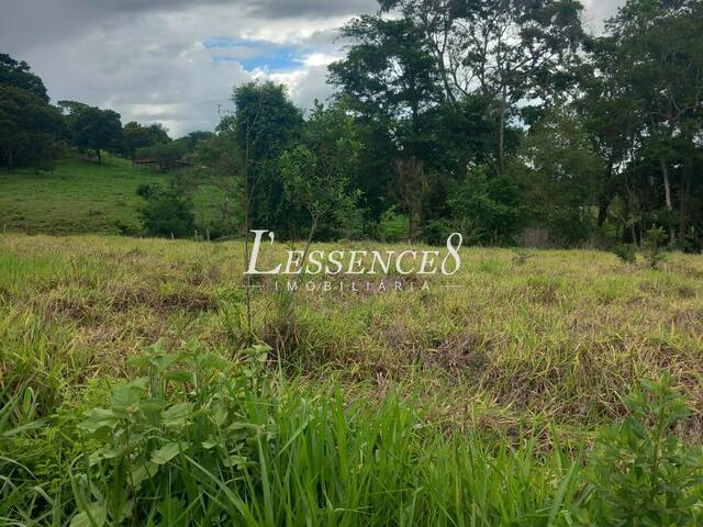 Chácara para Venda em Cezarina - 5