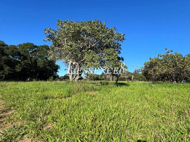 Chácara para Venda em Hidrolândia - 3
