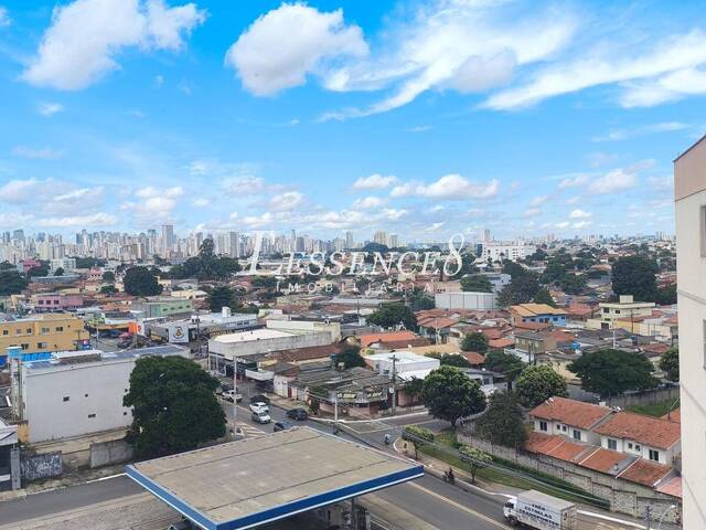 Venda em Vila São Luiz - Goiânia