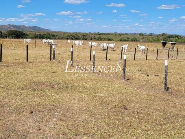 Fazenda para Venda em Crixás - 2