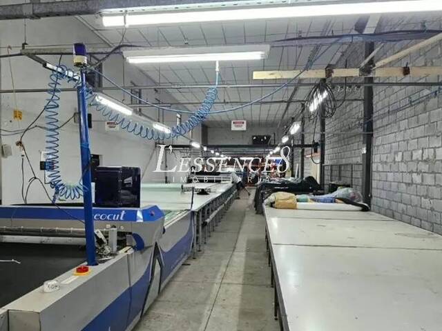 Galpão para Venda em Goiânia - 4
