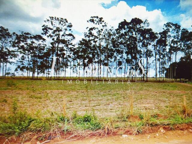 Venda em Área Rural de Hidrolândia - Hidrolândia